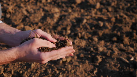 farmer examining soil