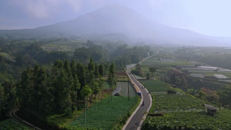 aerial view of beautiful rural landscape
