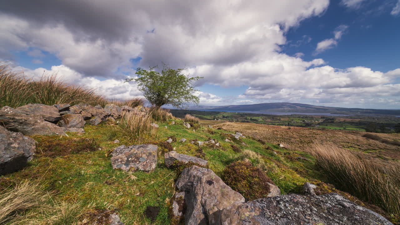 Scenic Landscape with Rocks, Tree, and Cloudy Sky