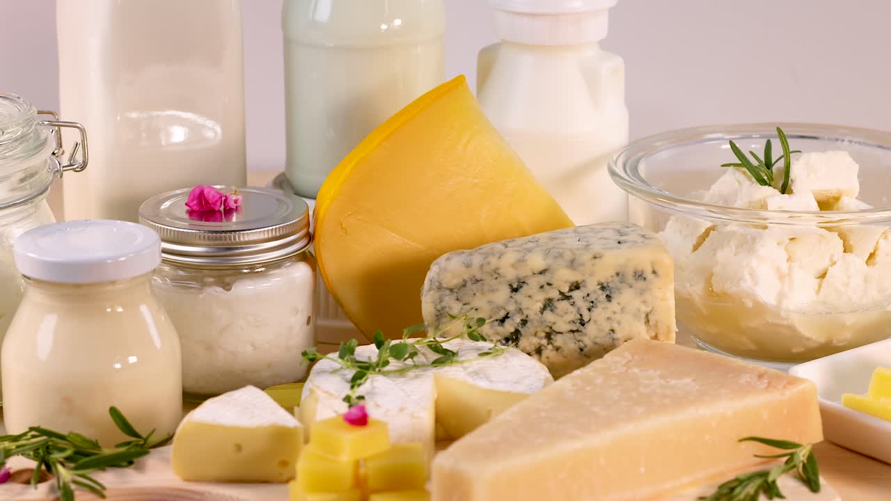 색 배경 에 배열 된 여러 가지 유제품