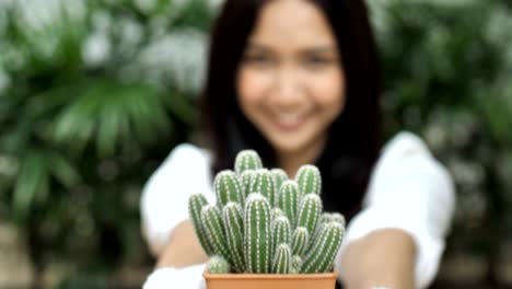 4k slow motion of young asian woman florist planting cactus