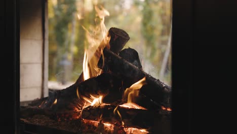 wood burning in a fire camp with a view of a forest