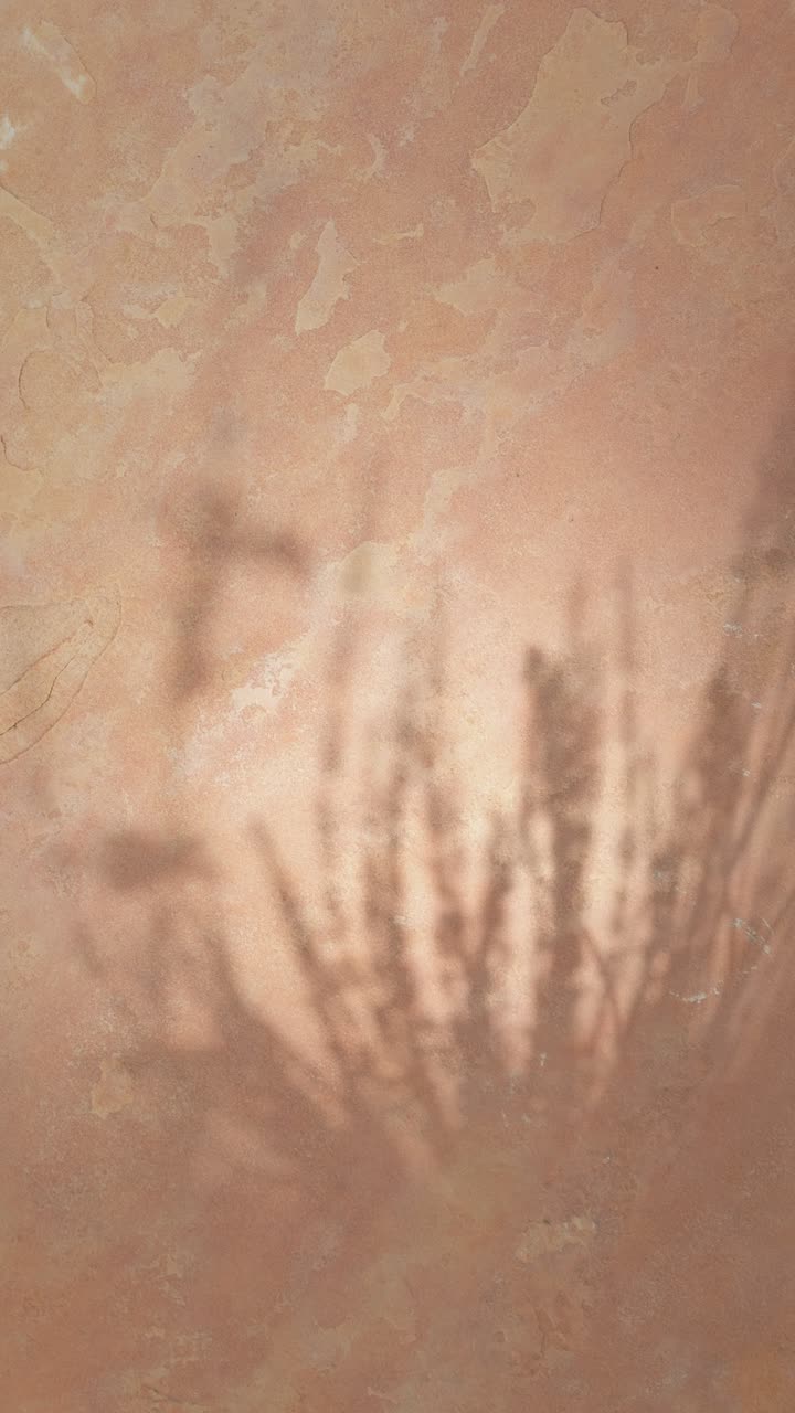Swaying Plant Shadows on a Textured Beige Wall