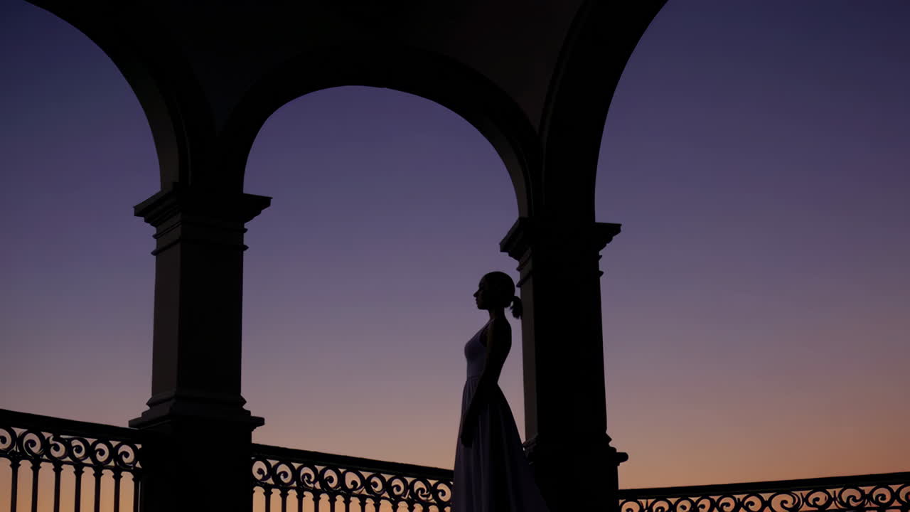 일몰 때 드레스를 입은 여성의 실루엣