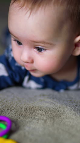 cute boy lies on belly looking at a toy in front of him. interested infant baby touching the bright toy. blurred backdrop. vertical video