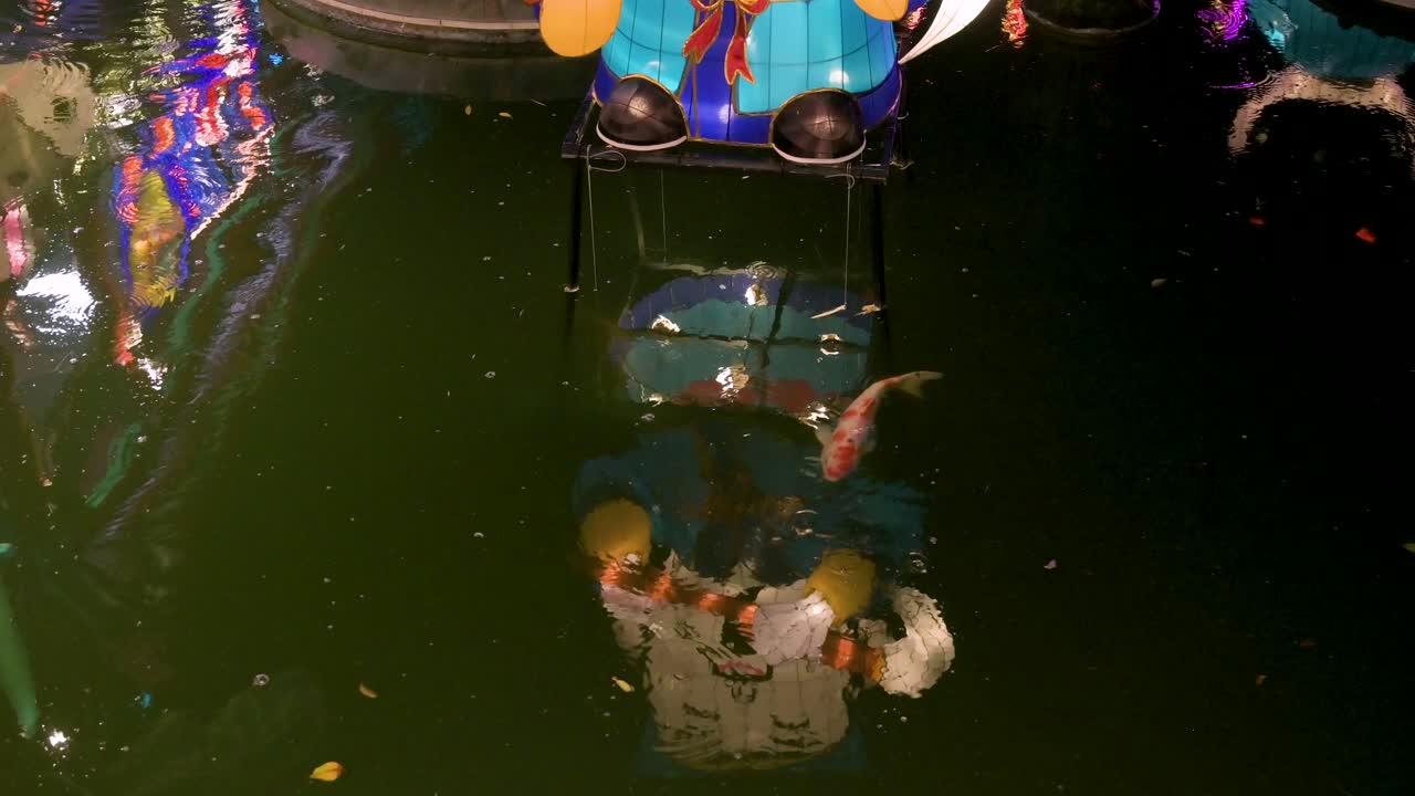 un pez rojo y blanco nada a través del marco como una linterna china se ve reflejada en el agua en un espectáculo de linternas nocturnas durante el festival de mediados de otoño