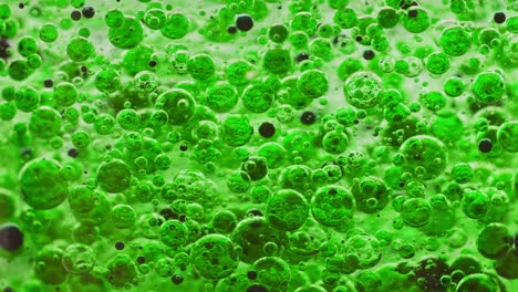 macro shot of green and black bubbles slowly moving around in water