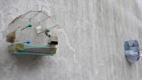 jaulas de pájaros en una pared cerca de una costa en grecia