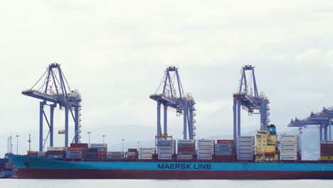 maritime trade port activity.