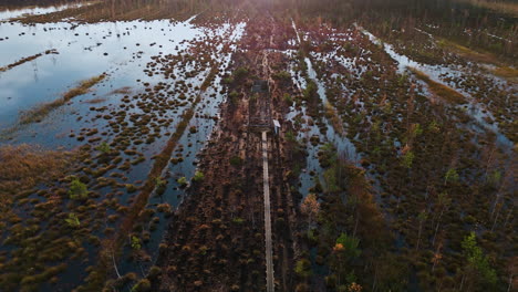 una fotografía de un avión no tripulado captura un lago cubierto de vegetación durante la hora dorada del otoño.