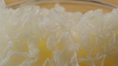 tremella fermented salted jamur salju or snow fungus, white colored fungi for food and medicine, popular in china and also chinese cuisine.