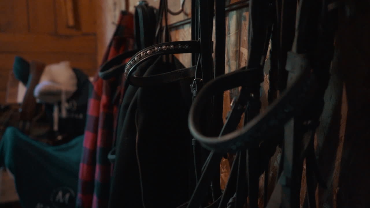 Close-up of Bridles Hanging in a Tack Room