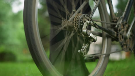 close-up of individual standing next to a parked bicycle in grassy field, the person slightly lifts the rear tire, pedals briefly, causing the tire to rotate with a blurred background