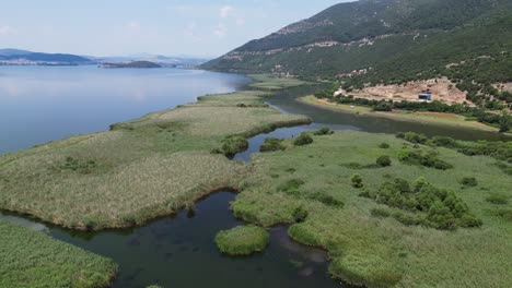 green wetlands in ioannina and pamvotis lake, epirus, greece mainland - aerial