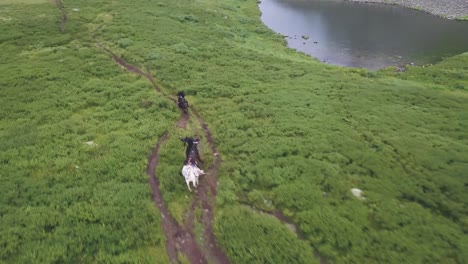 horseback riding in a mountain valley