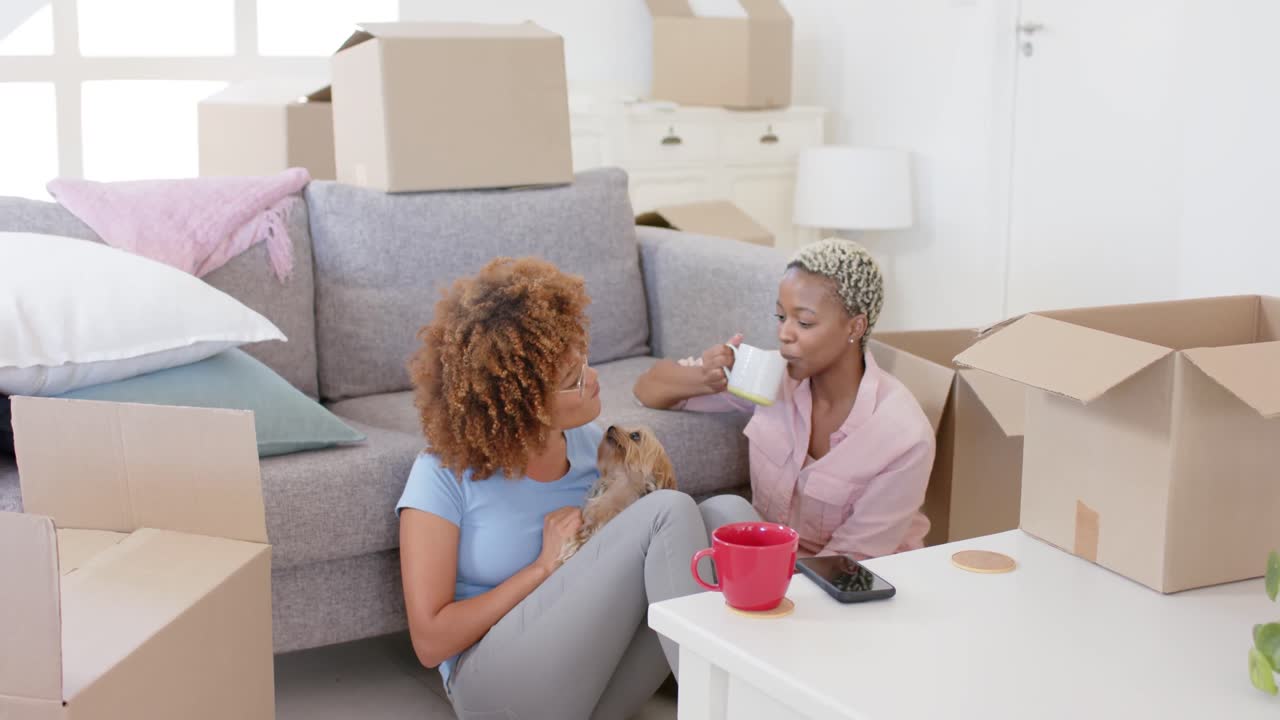 Happy diverse female lesbian couple with boxes moving house and petting dog in slow motion