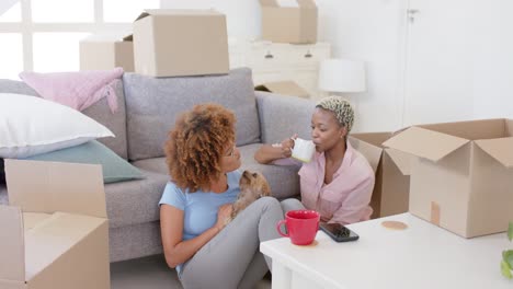 feliz pareja de lesbianas con cajas mudándose de casa y acariciando al perro en cámara lenta