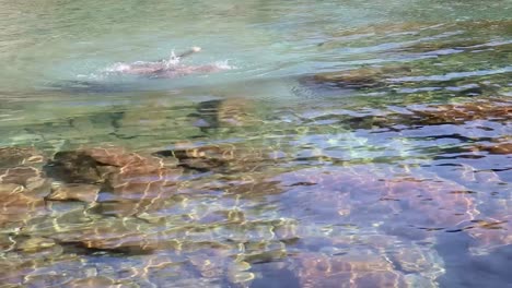 Junger-Mann-Springt-Und-Schwimmt-Im-Blauen-Klaren-Wasser-Des-Wasserfalls-Aus-Flachem-Winkel