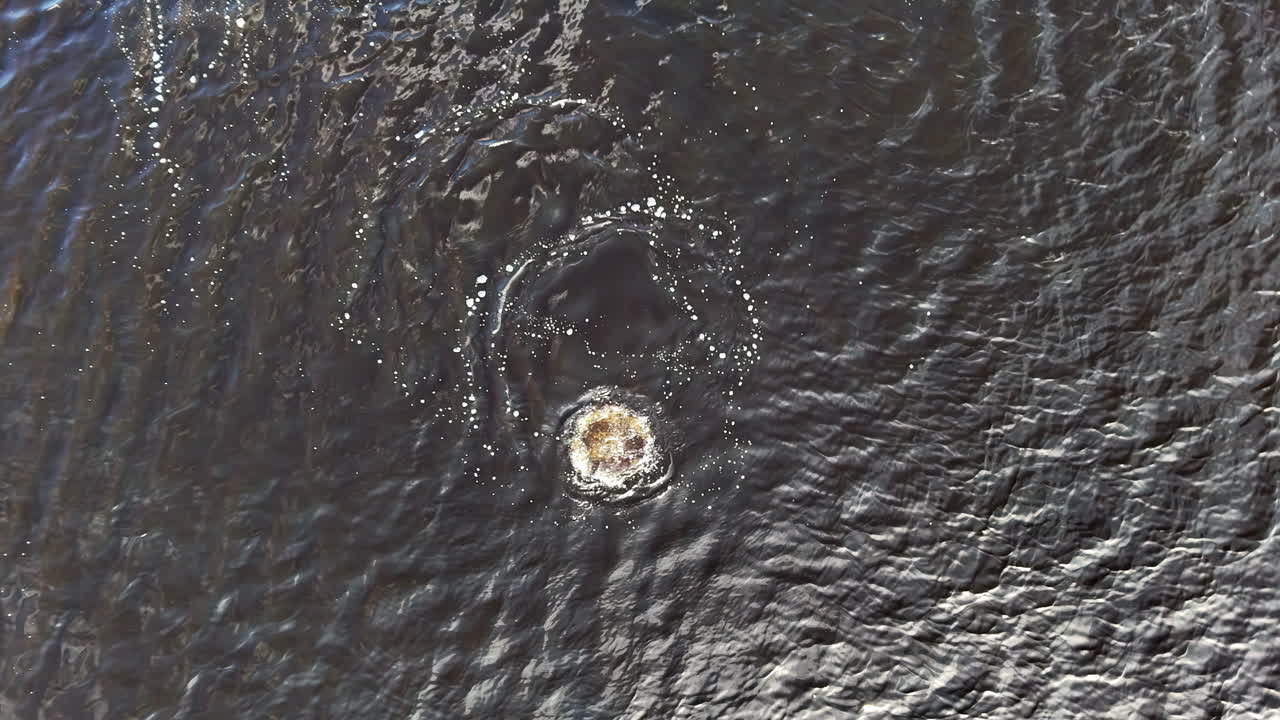 Concentric air bubbles rise and burst on rippled water as a submerged diver moves below, seen from a steady overhead drone, suggesting depth, search training, and quiet suspense