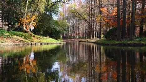 paisaje de hermoso parque forestal de otoño, árboles a la luz del sol con reflejos en el lago, loopable 4k imágenes en cámara lenta.
