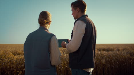 Two-farmers-talking-wheat-field.-Male-hands-holding-chroma-key-tablet-closeup