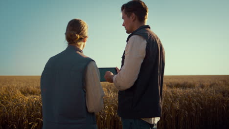 dos agricultores hablando en un campo de trigo. manos masculinas sosteniendo una tableta de llave de croma en primer plano