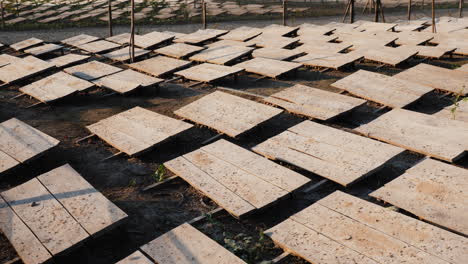 Snail-farm-with-wooden-canopies-to-protect-against-the-sun-and-heat-2