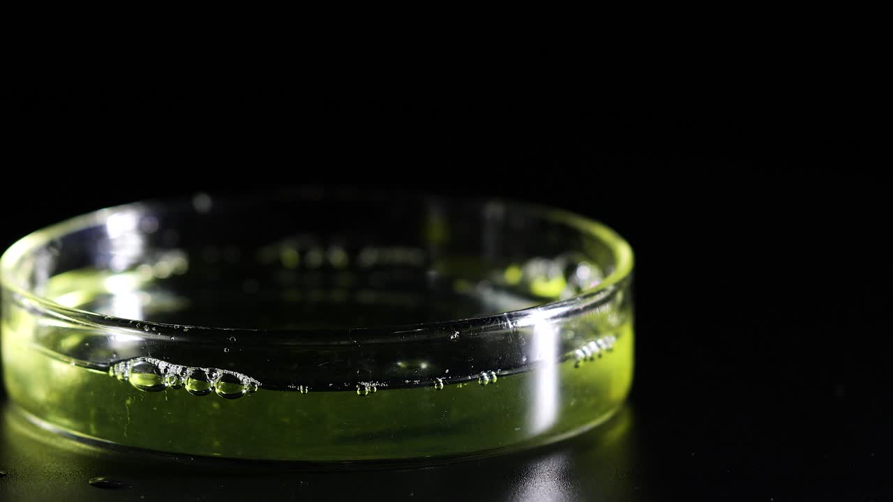 A stirring rod mixes green liquid in a petri dish on a dark surface, highlighting fluid dynamics and chemical interaction