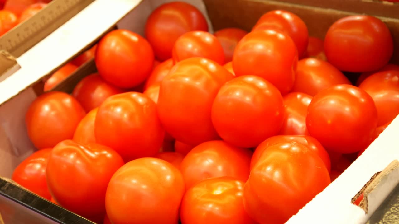 거래 상자에 많은 토마토의 클로즈업과 남성 손이 하나를 가져갑니다.