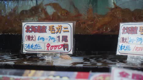 sign saying fresh shrimp on sale at hakodate morning market