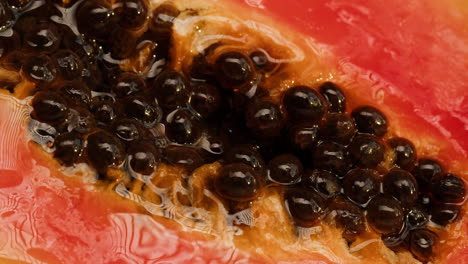 close-up of papaya seeds