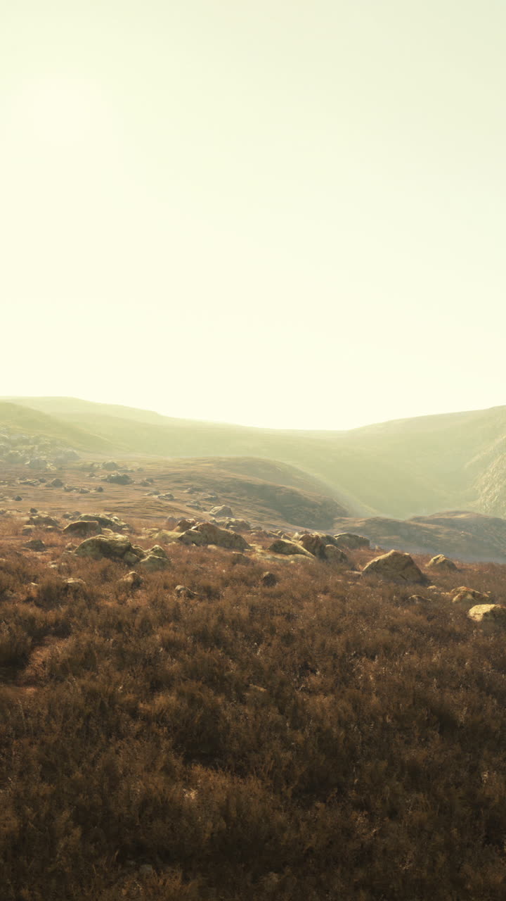 hermoso paisaje de montaña con niebla