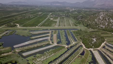 AERIAL:-Green-plantations-in-Croatia