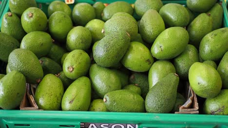 avocados in a crate