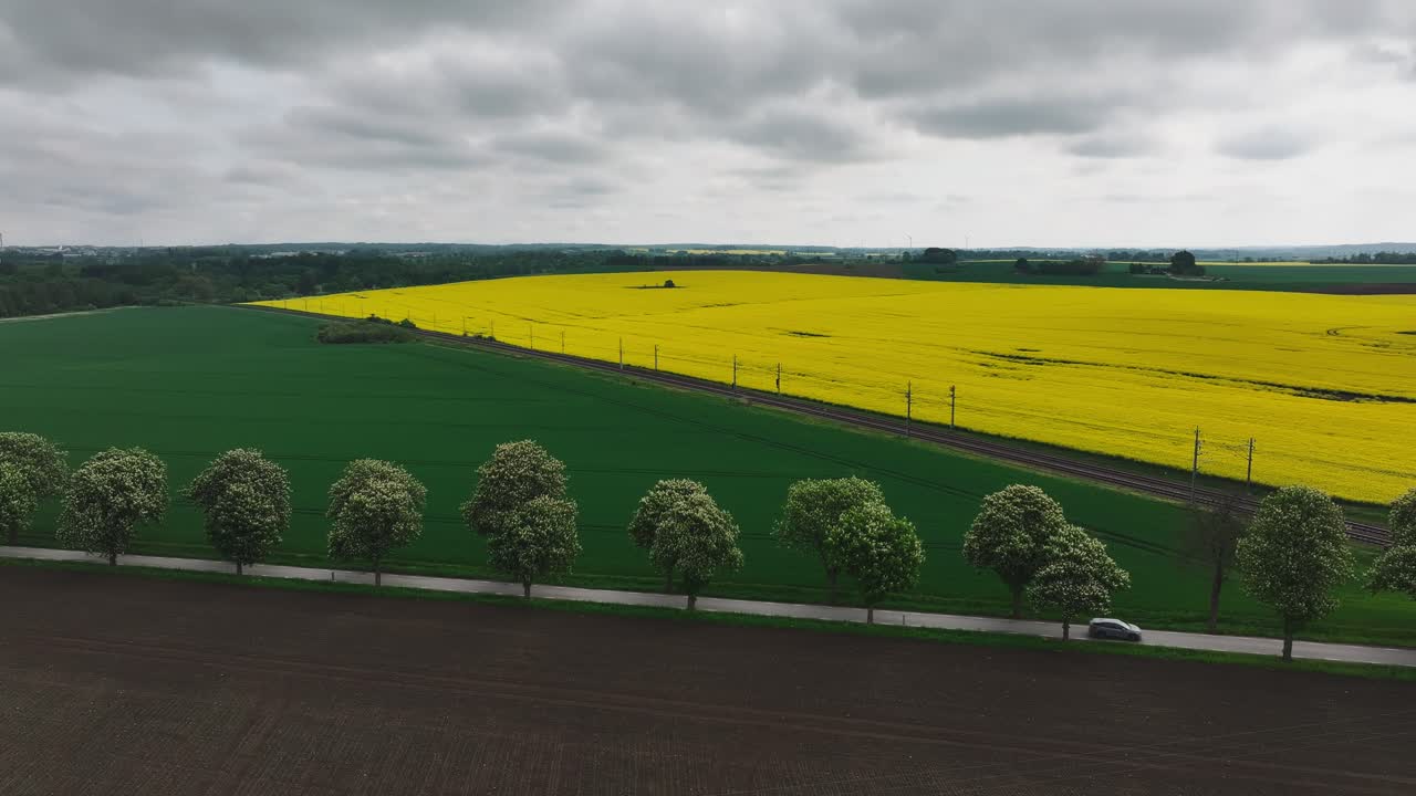 Static panorama view of cultivated farmland with yellow canola field, car ride