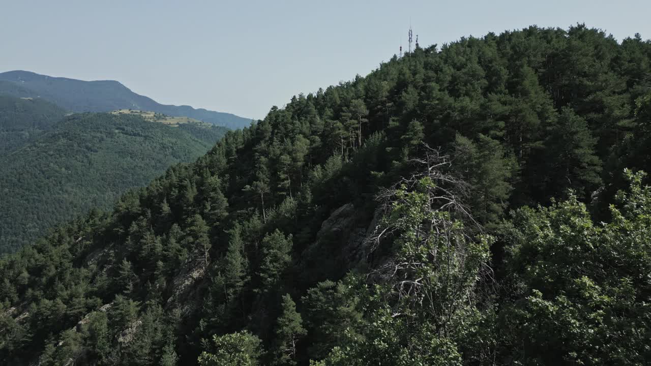 Green forest covers a mountain range, a telecommunication antenna stands on the peak, and a dead tree adds a touch of contrast to the vibrant landscape