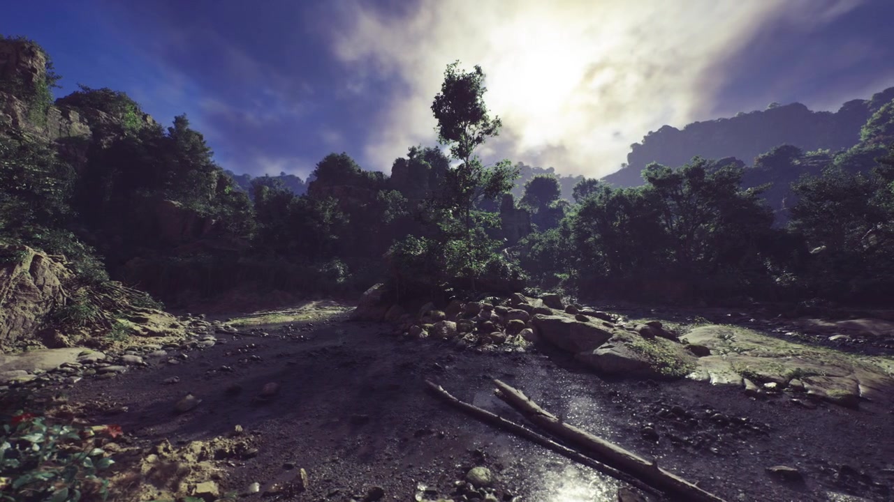 Secluded tree on uneven rocky crest with vast clouded sky above