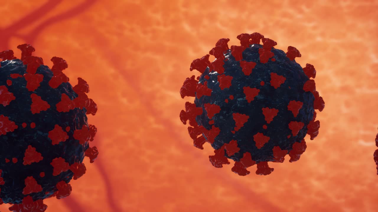 Coronavirus (COVID-19) medical animation. The virus model is realistic. Coronaviruses influenza as dangerous flu strain cases as a pandemic. Microscope virus close up. 3d rendering.