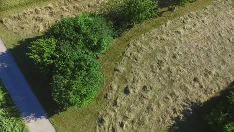 Toma-Aérea-De-Un-Campo-De-Heno-Recién-Cosechado