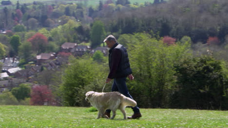 Reifer-Mann-Geht-Mit-Hund-Auf-Dem-Land-Spazieren,-Aufgenommen-Auf-R3D