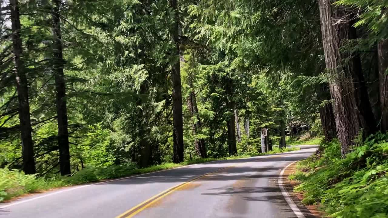 vista panorámica del punto de vista de un coche que se mueve por una carretera de naturaleza ventosa en el hermoso estado de washington en los estados unidos de américa rodeado de árboles verdes de colores y follaje