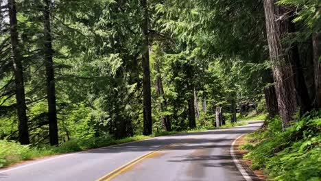 Wide-shot-of-the-point-of-view-of-a-car-moving-down-a-windy-nature-road-in-the-beautiful-state-of-Washington-in-the-United-States-of-America-surrounded-by-colorful-green-trees-and-folidage