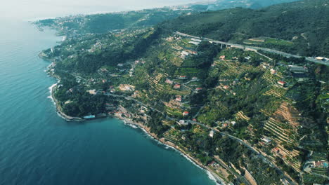 coastal terraced hills and vineyards