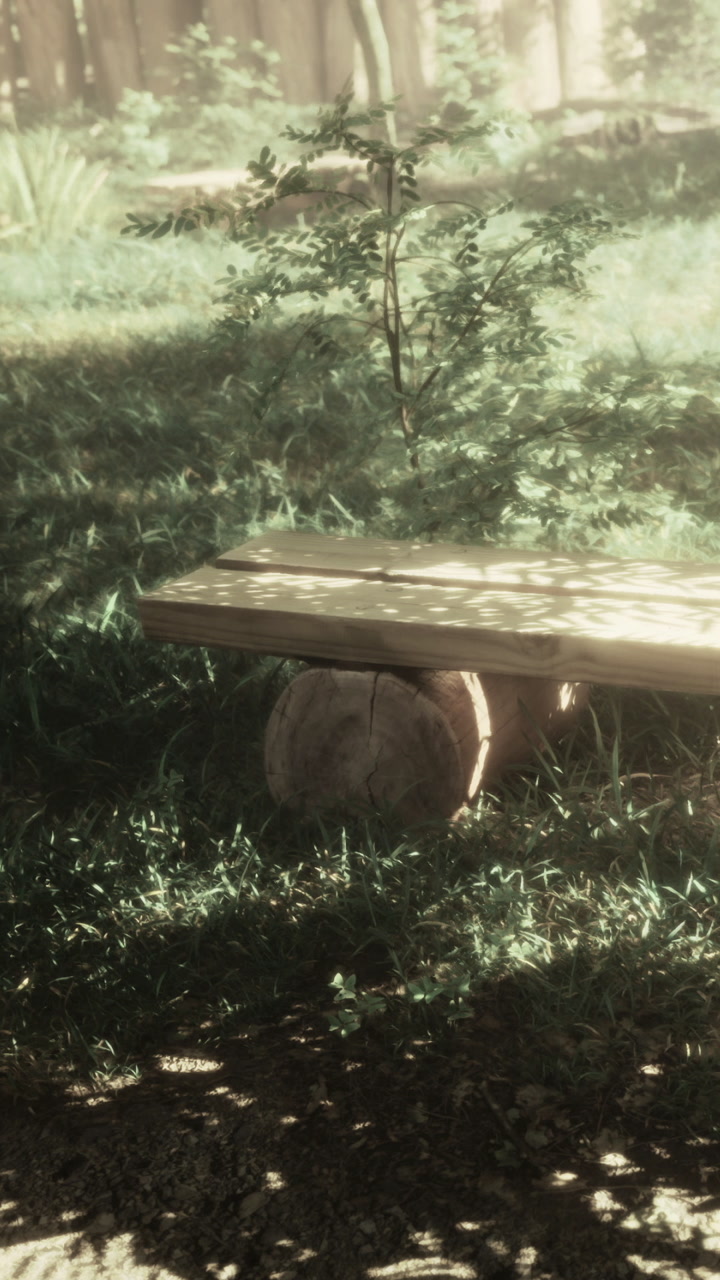 Wooden bench sits quietly under sunlight in grassy area