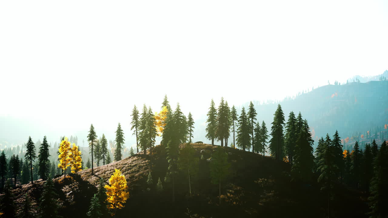 atardecer o amanecer colorido en las montañas con bosque de pinos y niebla