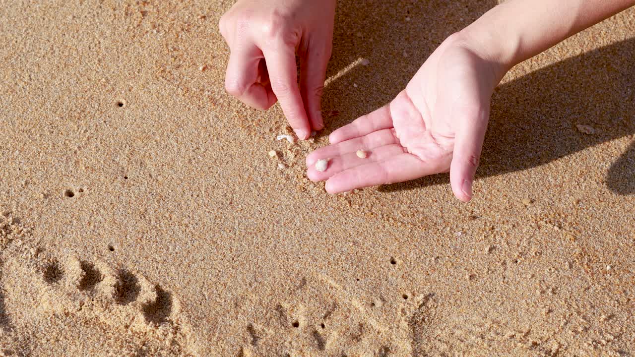 Hands gather small shells on sandy beach under bright sunlight, showcasing a serene and tactile experience
