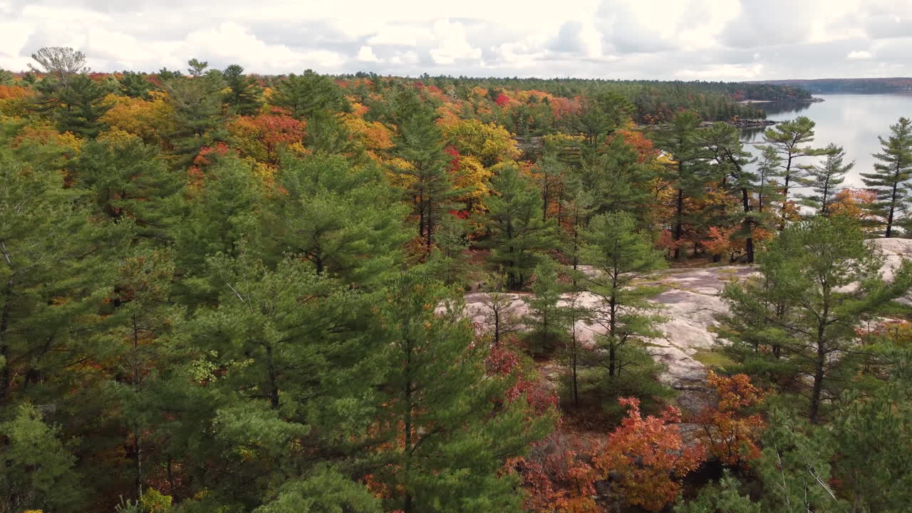 colorido bosque de otoño en el parque provincial killbear