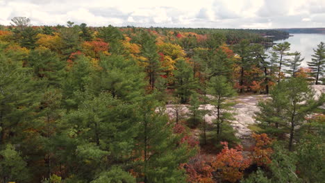 colorful autumn forest in killbear provincial park