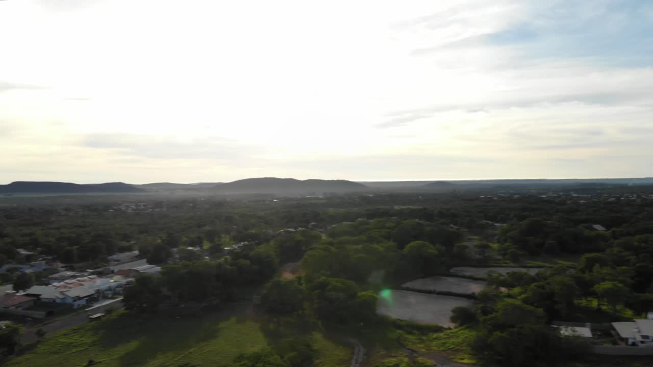 vuelo aereo a lo largo del bosque