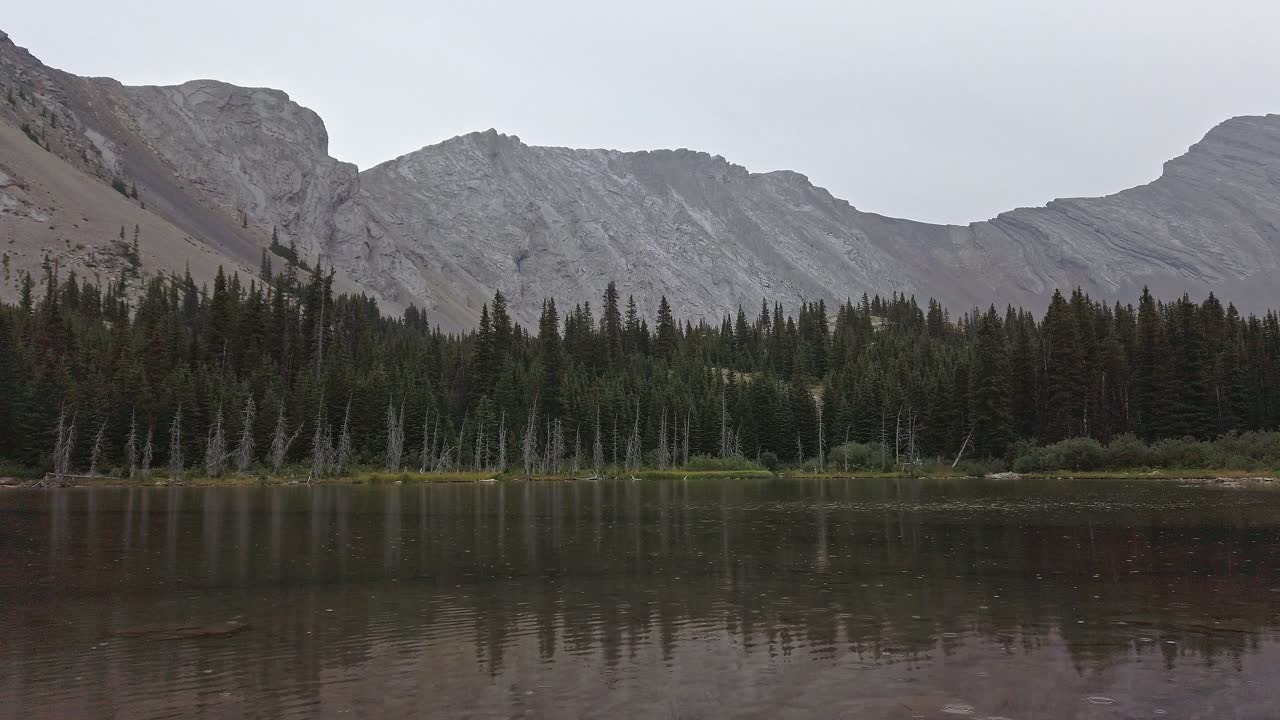 estanque en el bosque del valle de la montaña lluvia ligera rockies kananaskis alberta canadá